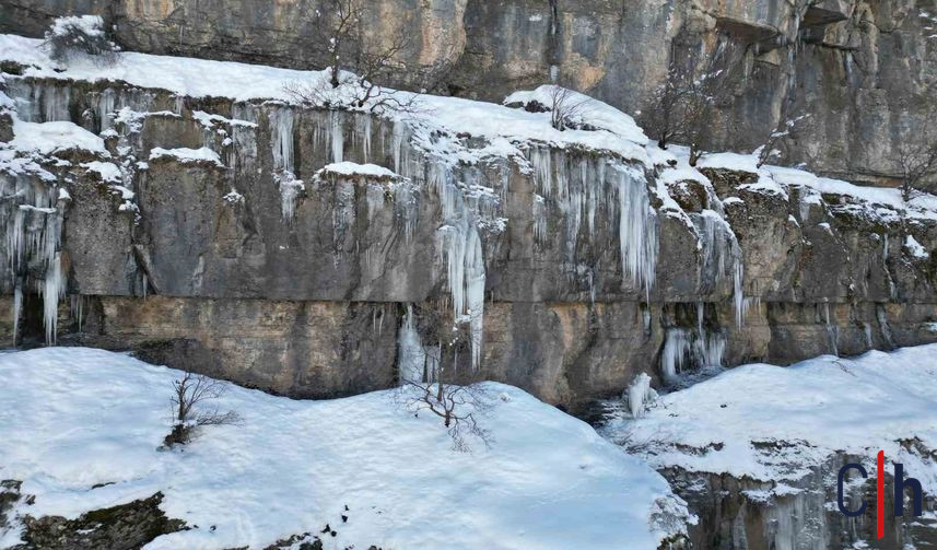 20260125Aw627725 5 857X503