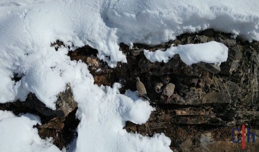 20260127Aw628910 2 857X503