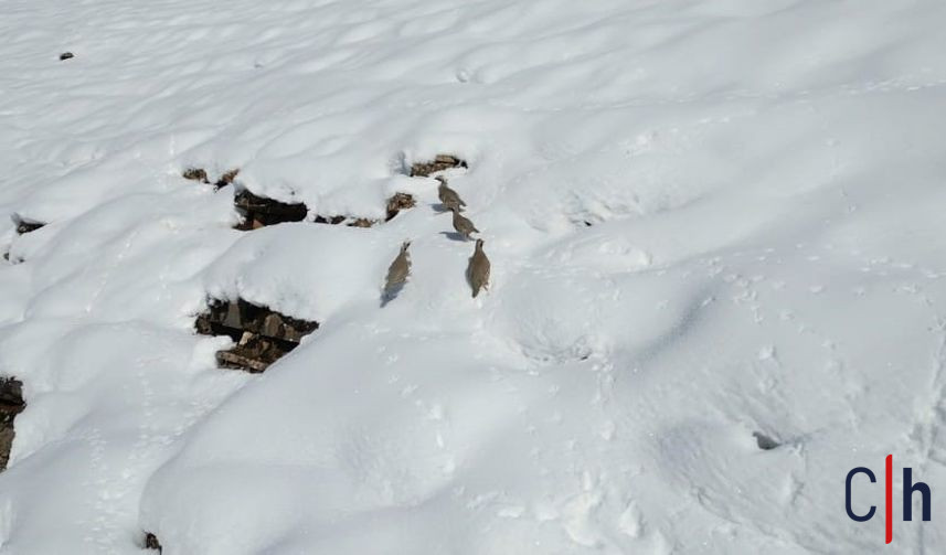 20260127Aw628910 857X503