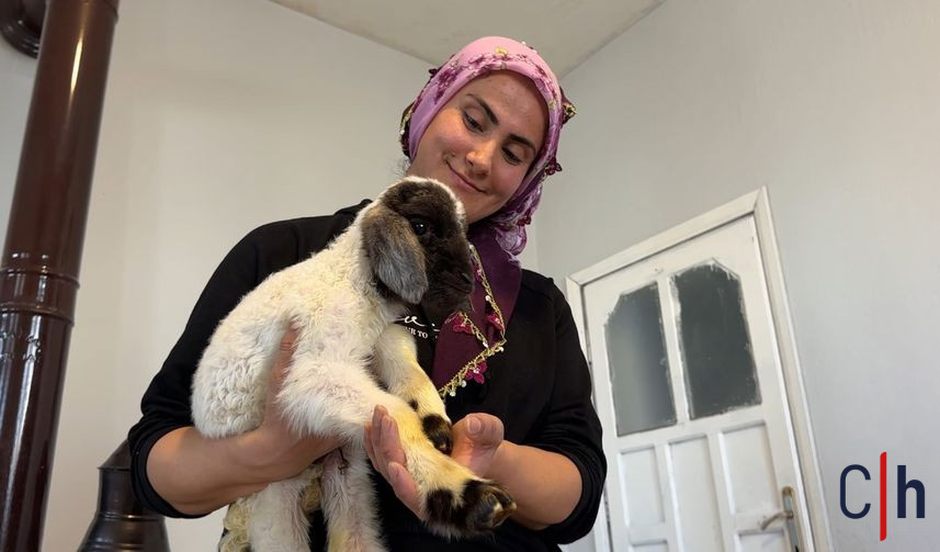 20260127Aw629113 26 857X503