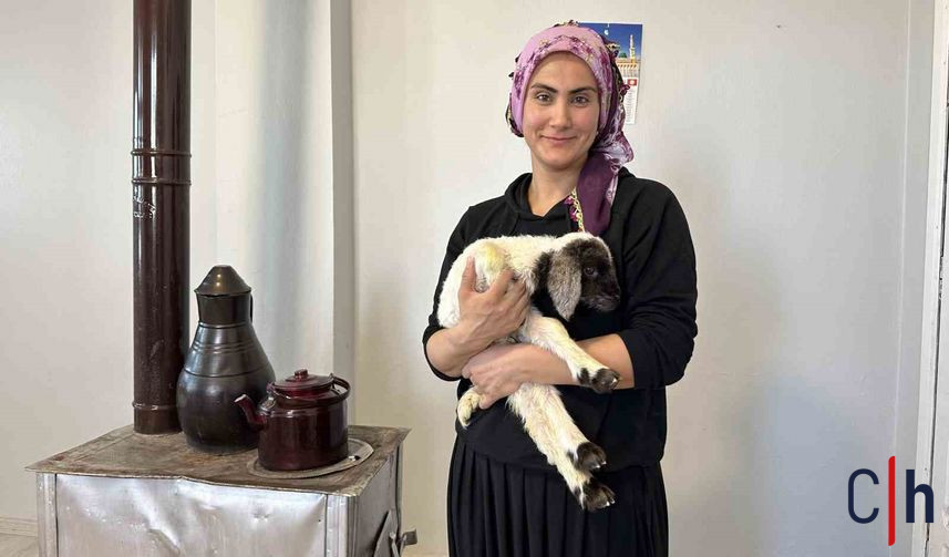 20260127Aw629113 857X503