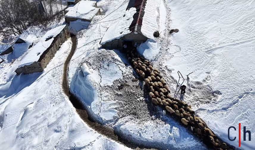 20260128Aw629627 857X503