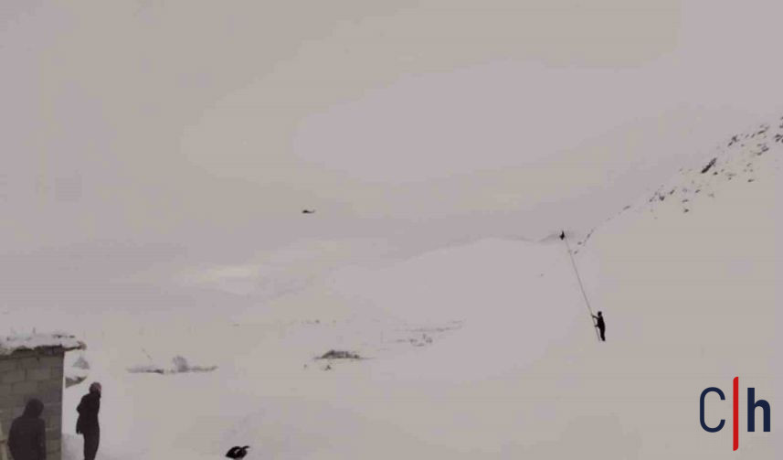 20260130Aw631194 857X503