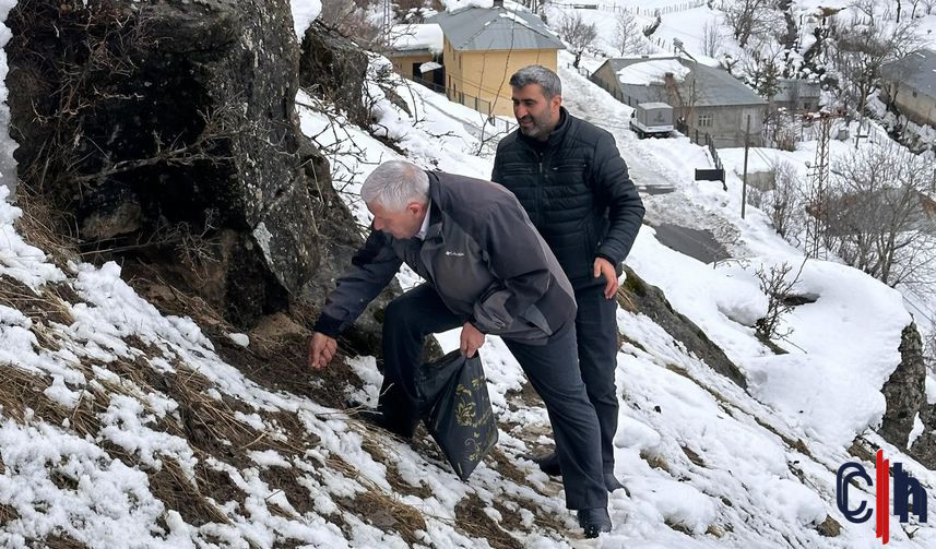 800C0Aa8 7A6F 4C6C Ad3E 807F77355873 857X503