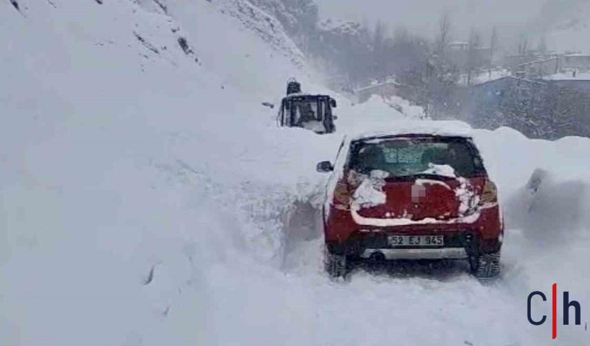 Araç Çığ Van 857X503