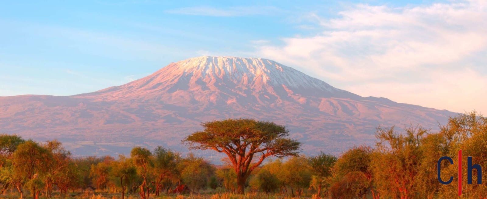 C3C8A3Ff 84C4 4588 9883 4Bedbc6A167E