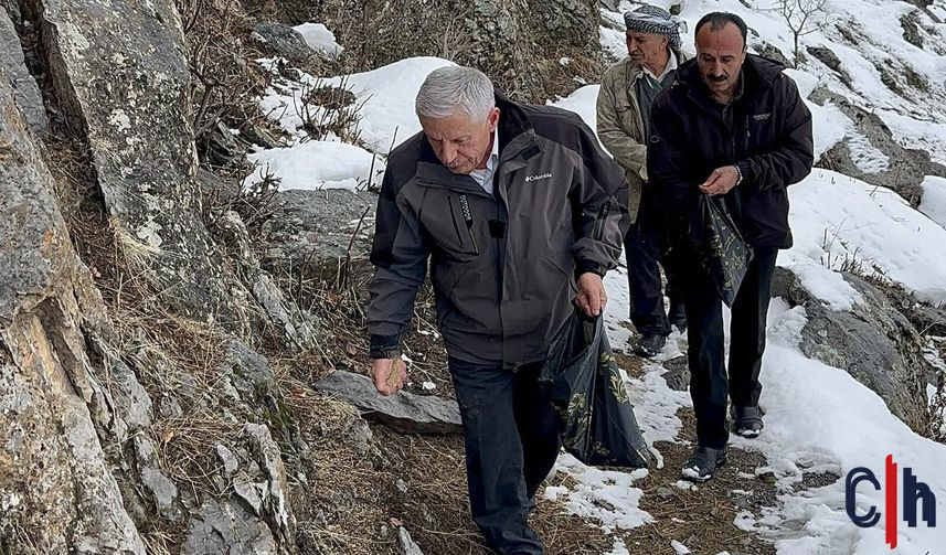 E3B49E9B 92Cc 4A26 90Cb F4374E3A6289 857X503