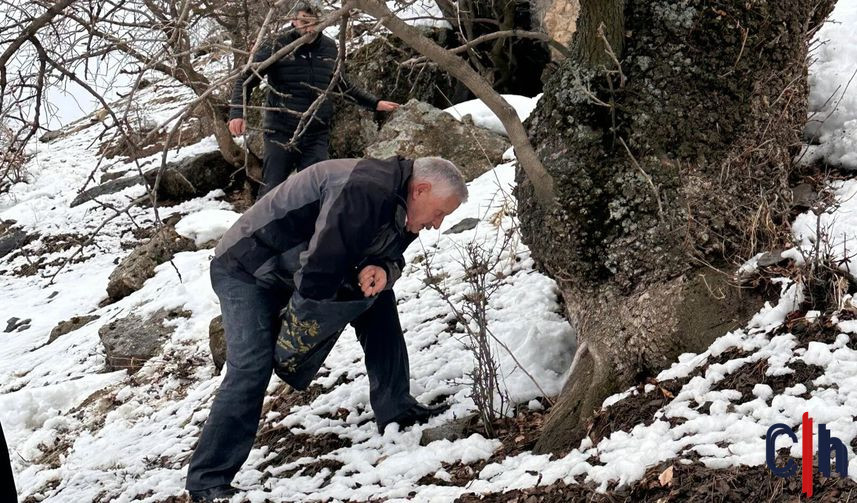 Ec649C5E 14Ba 44A0 Bba5 4C365Fec3566 857X503