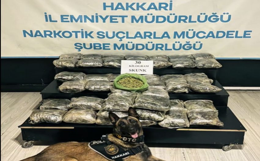 Uyuşturucu Yuksek 850X527