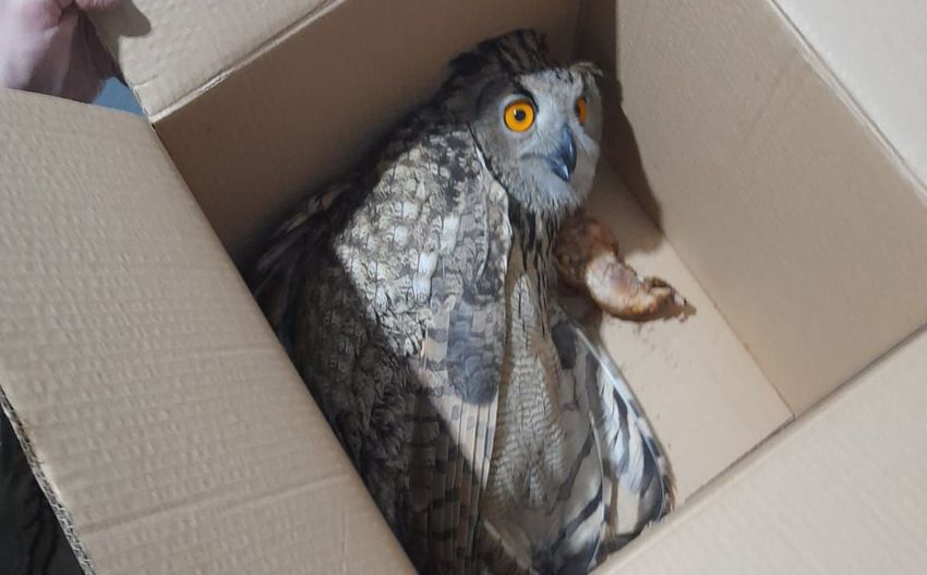 Whatsapp Image 2026 01 08 At 176192892372646 1761928923 850X527