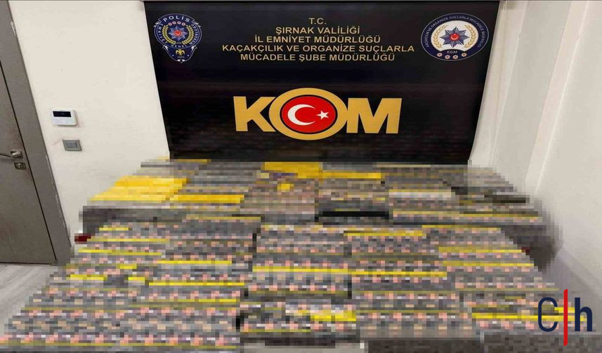 20260202Aw633110 857X503