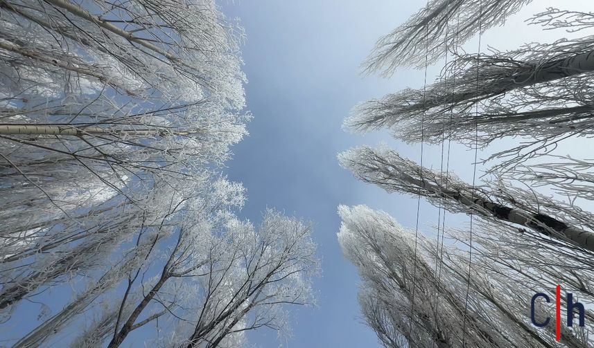 20260206Aw636233 857X503