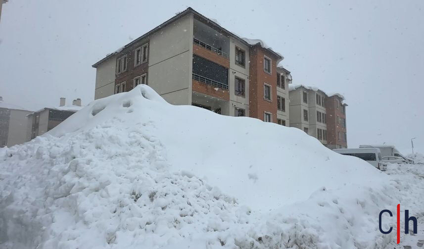 20260228Aw651738 15 857X503