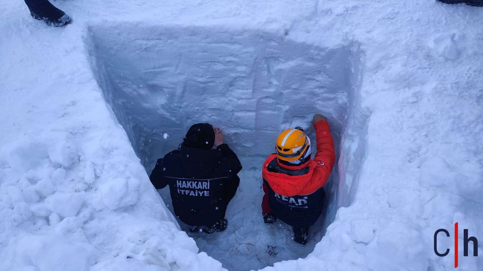 A3118C6D 808C 463C 93F6 D0Fc75Dd4C5A