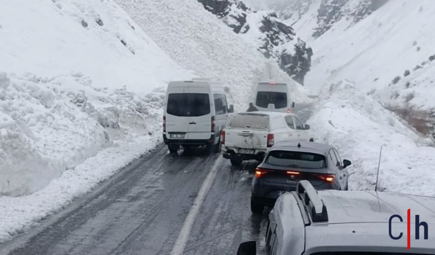 I M G 20260201 111454 857X503