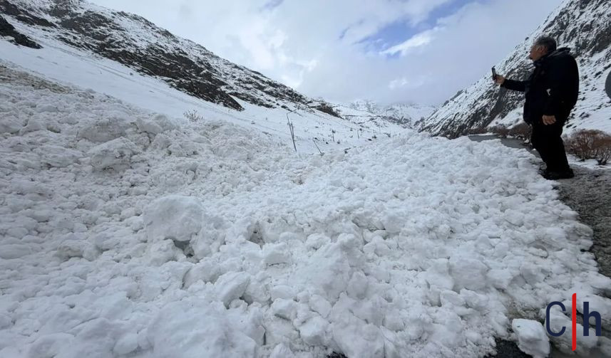 I M G 20260201 111504 857X503