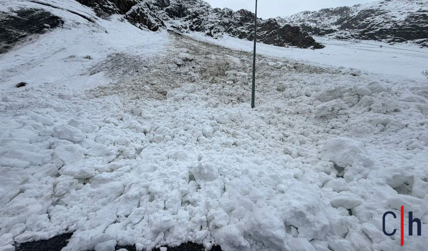 I M G 20260201 111544 857X503