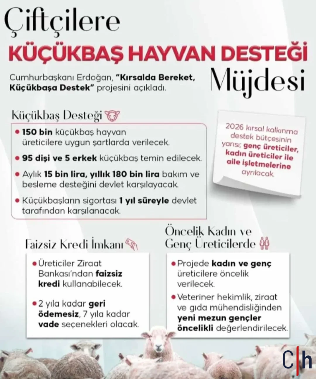 I M G 20260222 103204