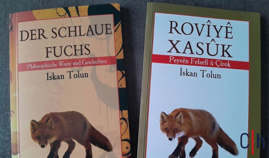 Whatsapp Image 2026 02 25 At 17.00.23 857X503