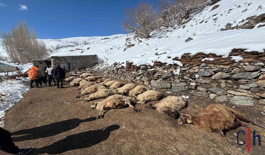 20260301Aw652381 857X503