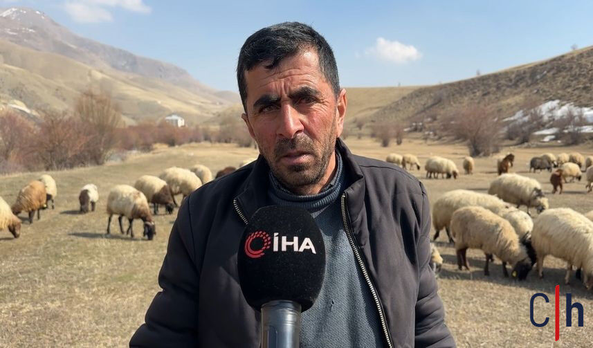 20260307Aw657031 24 857X503