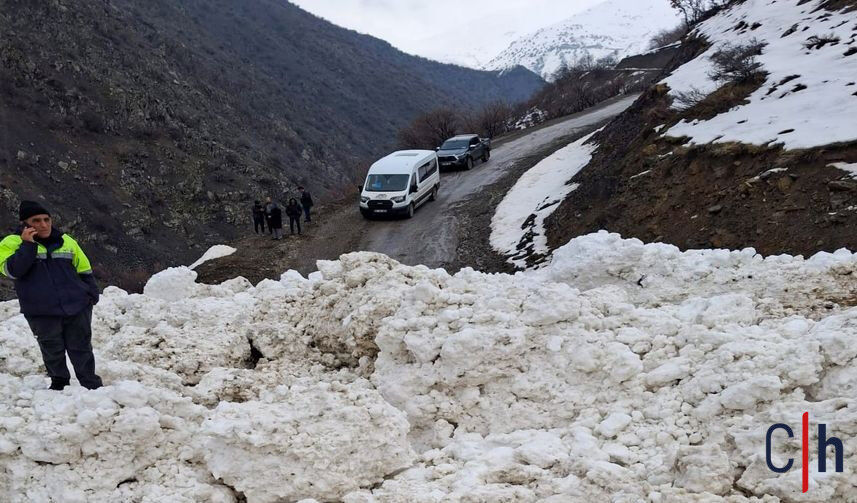 20260317Aw664151 857X503