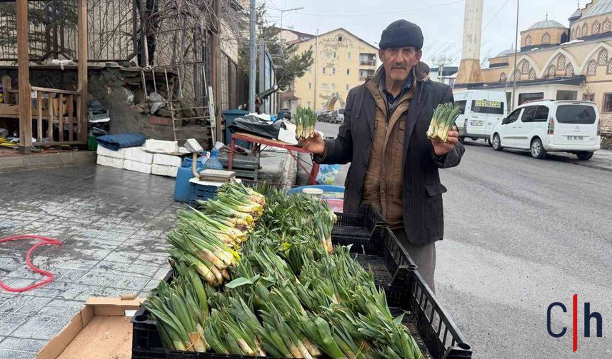 20260326Aw669655 857X503