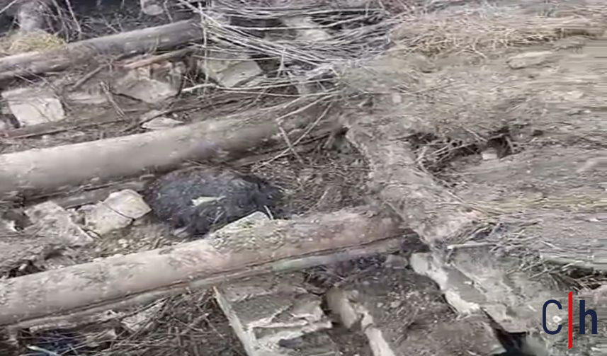 20260327Aw670546 857X503