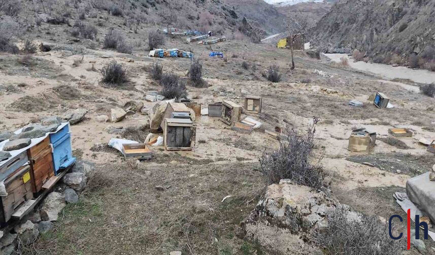 20260327Aw670754 2 857X503