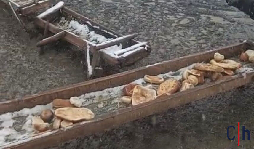 2A917D07 020D 4604 A335 Edcd0Bd1F67C 857X503