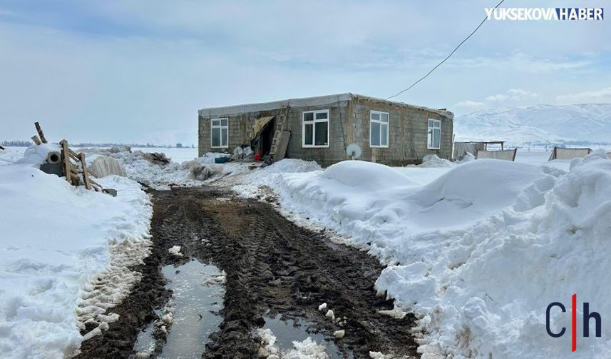 Whatsapp Image 2026 03 06 At 11 50 51 857X503