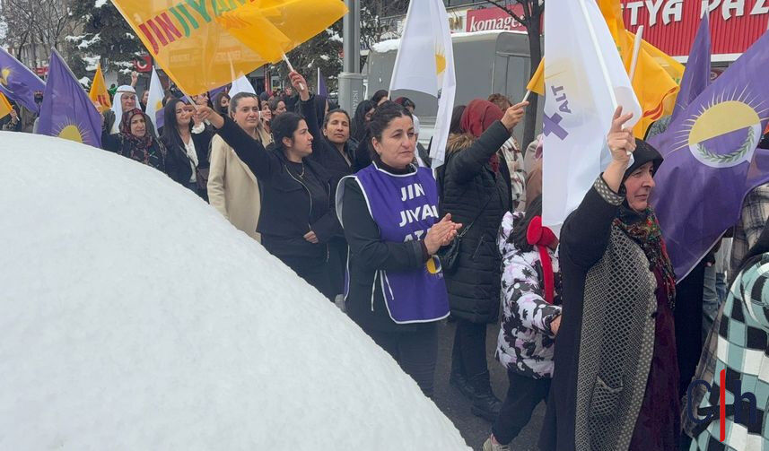 Whatsapp Image 2026 03 08 At 15.36.45 (1) 857X503