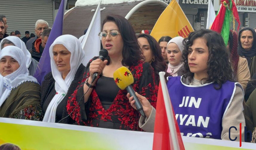 Whatsapp Image 2026 03 08 At 15.36.45 857X503