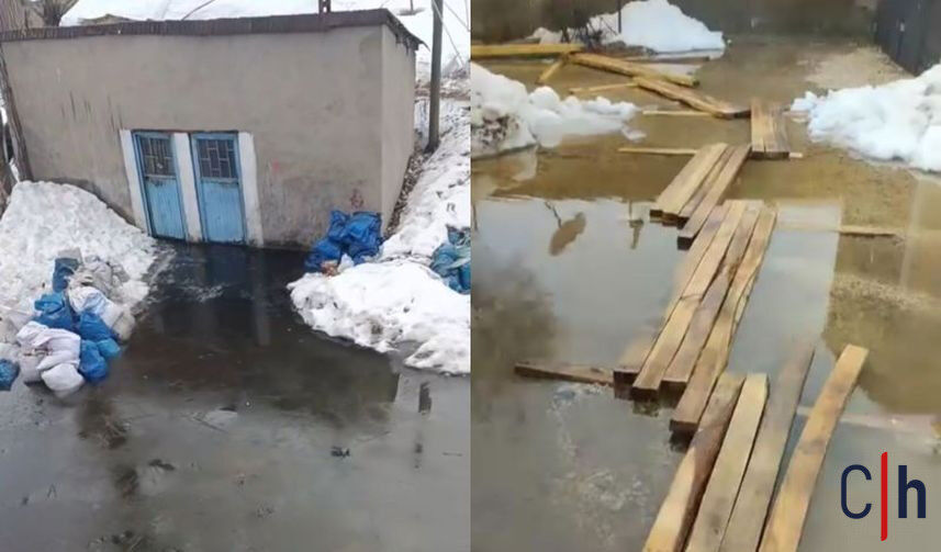 Whatsapp Image 2026 03 20 At 12 30 54 857X503