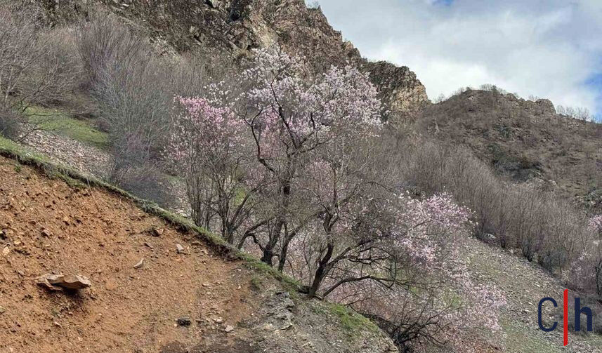 20260402Aw674427 857X503