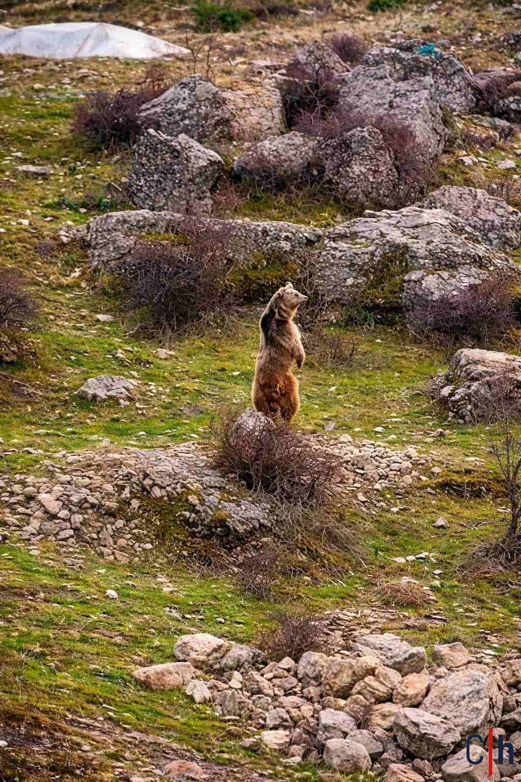 20260402Aw675117 1 (1)