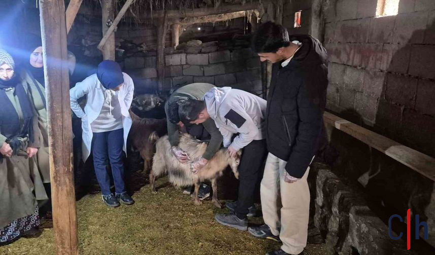 20260403Aw675844 857X503