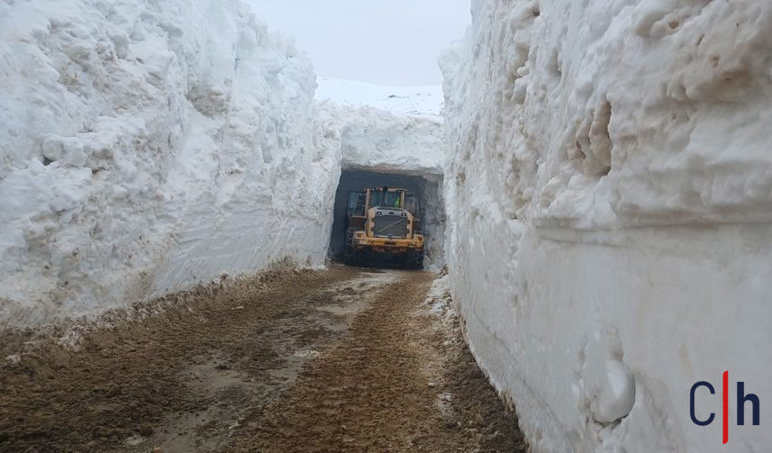 20260406Aw677503 4 857X503