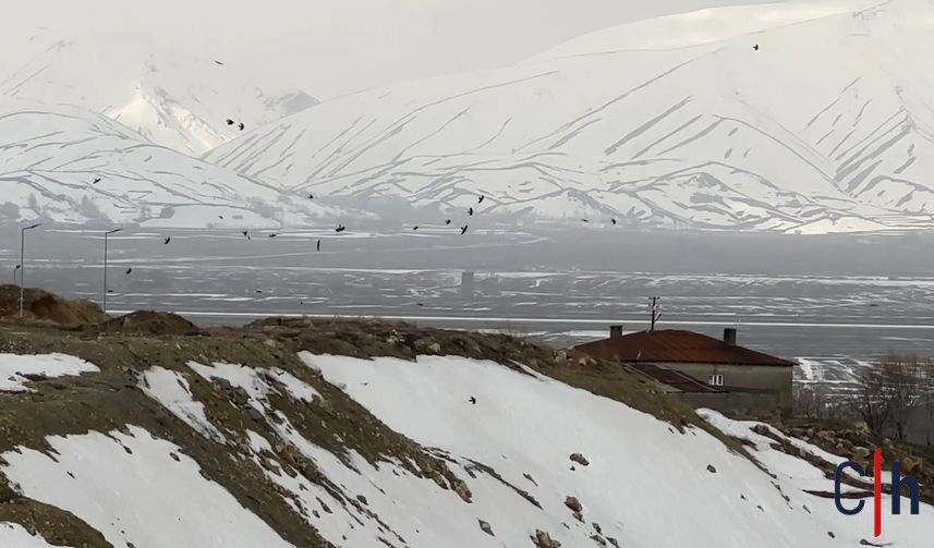 20260419Aw686585 7 857X503