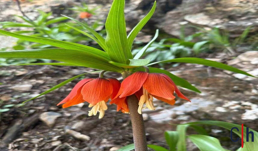 20260420Aw687570 857X503