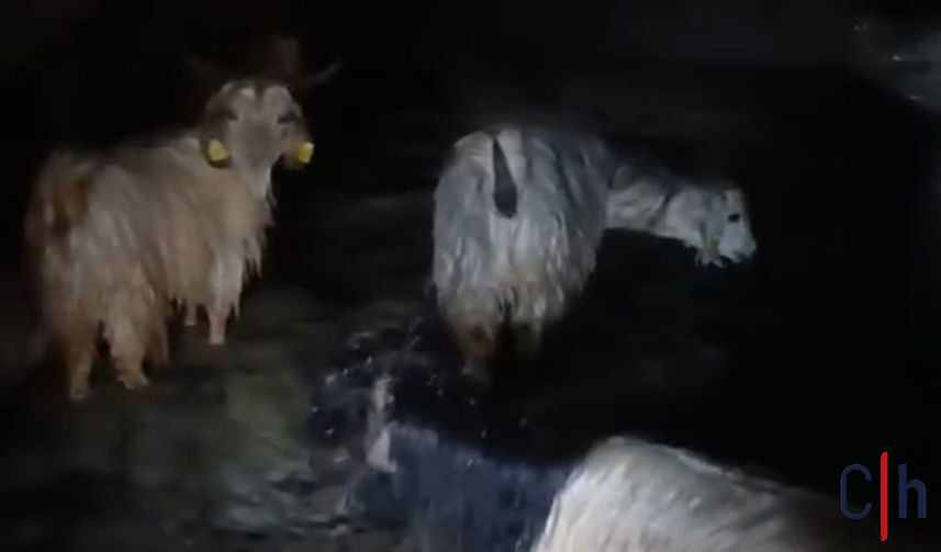 20260420Aw687608 857X503