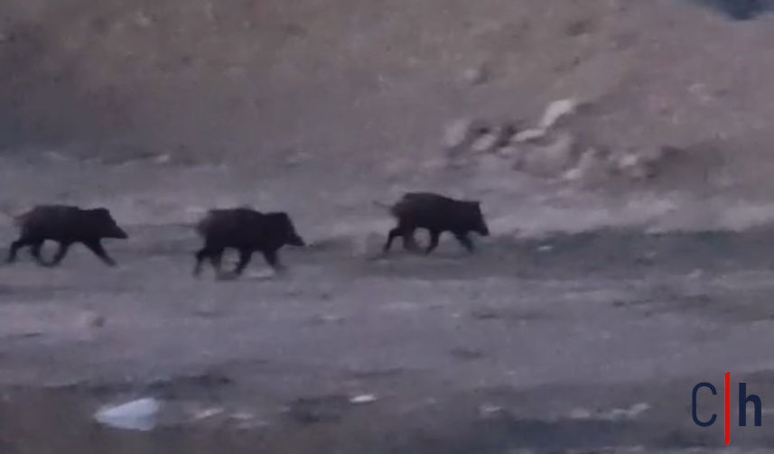 20260421Aw687810 857X503