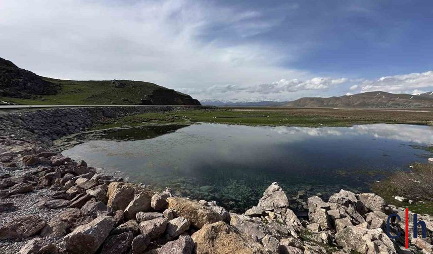 20260427Aw692601 13 857X503