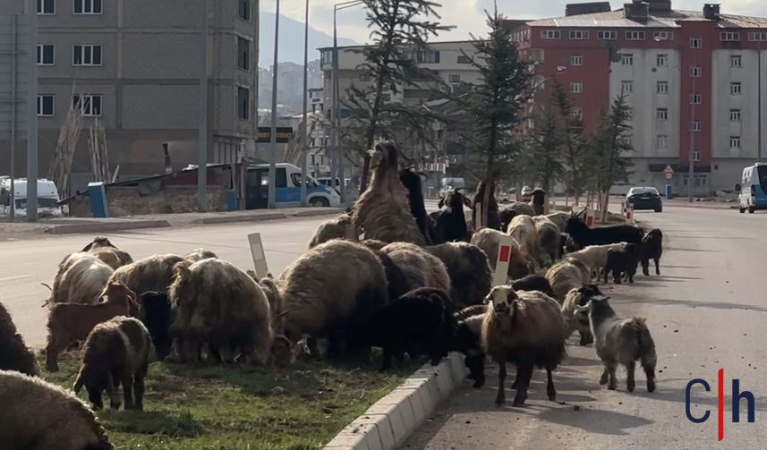 20260428Aw693271 857X503