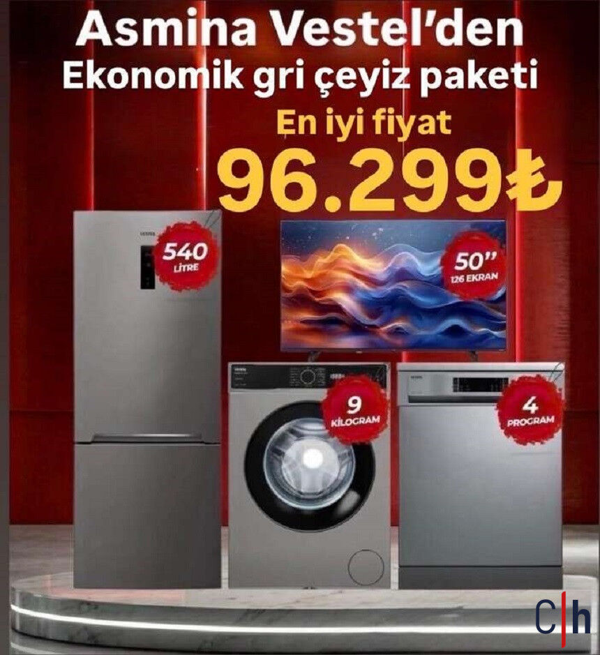 Asmina Vestel