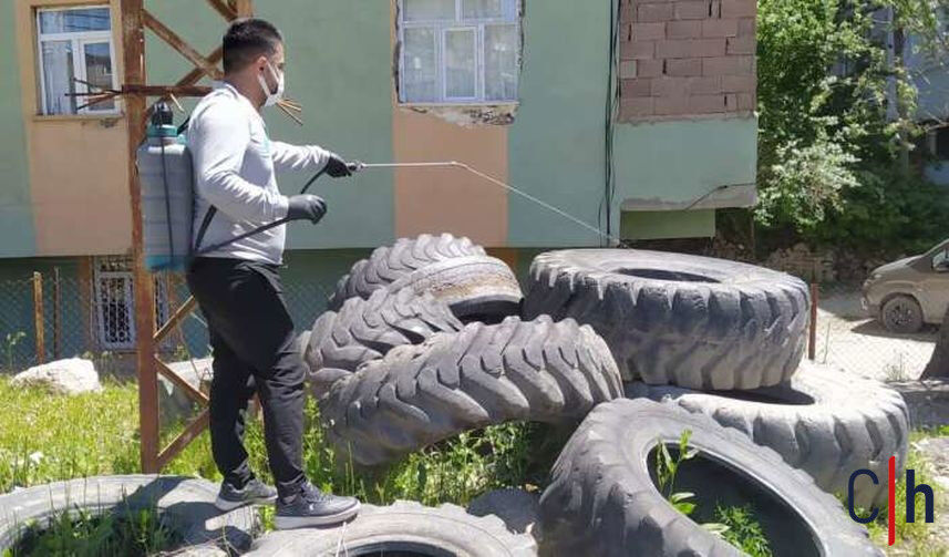 Hakkari Belediyesi Larva Ilaclama Calismasi Baslatti 857X503