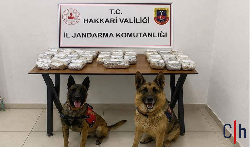 Jandarma Uyuşturucu 857X503