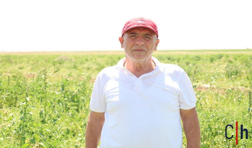 Amed Karpuzu Hasadi Oztek 6 857X503