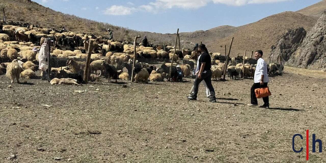 Yüksekova’da Berivanlara mobil sağlık hizmeti