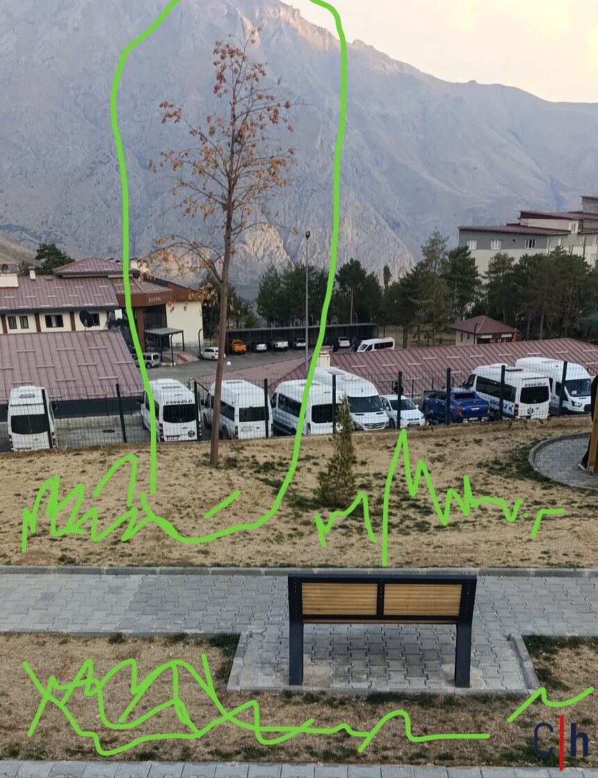 Kurumuş Ağaç